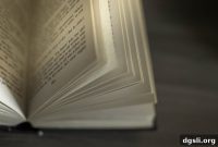 How Literature Can Reignite Student Interest in Social Studies