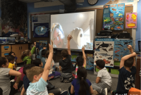 Inspiring Girls in STEM with Hybrid Online and Field Learning
