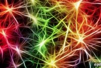 How Improving Cognitive Skills Narrows the Achievement Gap