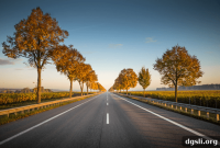 2021 Outlook: What’s Ahead and Trends to Watch