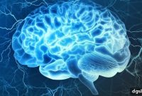 Cognitive Capacity: What It Means and Why It Matters