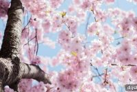 Spring Into New Learning Opportunities