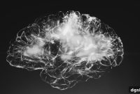 How Cognitive Science Principles Improve Learning