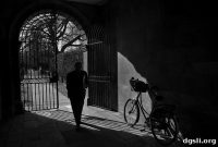 The Damaged Soul of a University: Inside a Campus Crisis