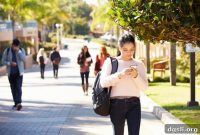 How Social Networks Drive Innovation in Teaching