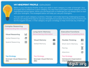 Cognitive Strategies to Make Learning More Efficient 3 Sample student cognitive profile
